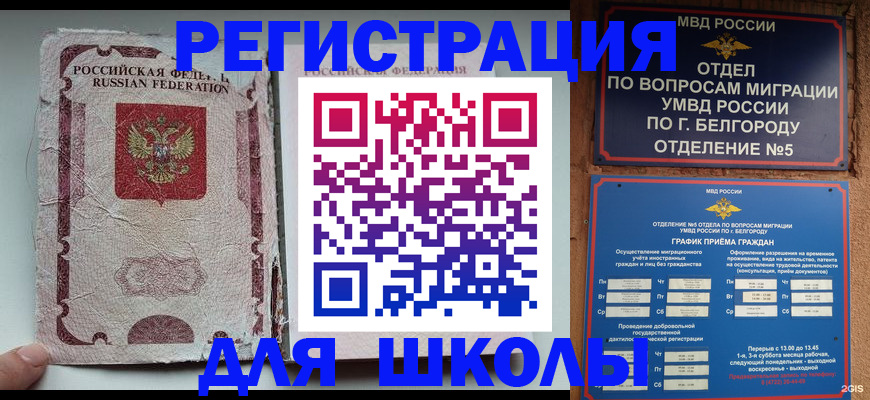 прописка гарантия в Сясьстрое